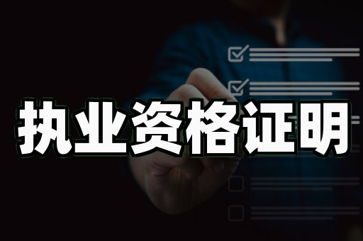 职业资格证书样品 - 现代简约
